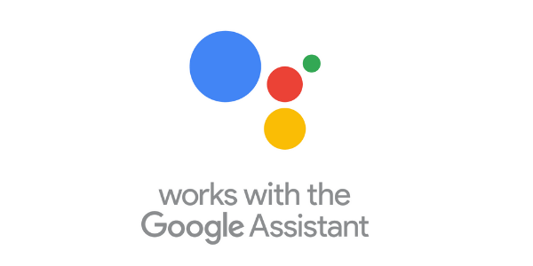 Works With Alexa and Google Assistant (1)