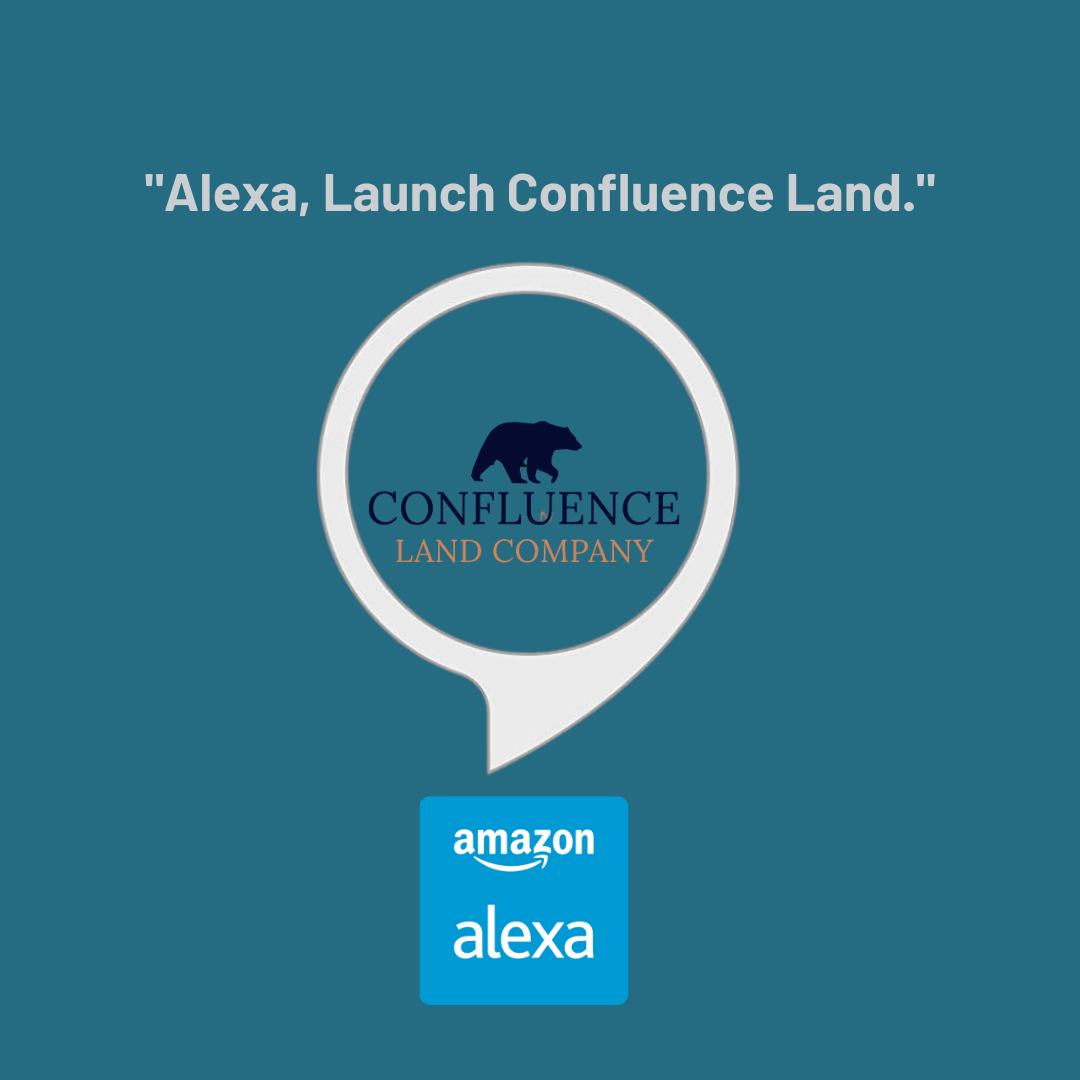 Alexa Skill WordPress plugin